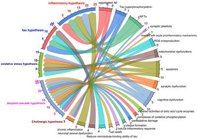 The cellular model for Alzheimer's disease research: PC12 cells